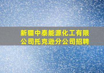 新疆中泰能源化工有限公司托克逊分公司招聘