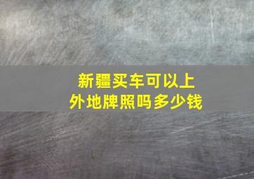 新疆买车可以上外地牌照吗多少钱