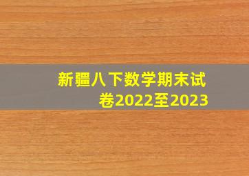 新疆八下数学期末试卷2022至2023