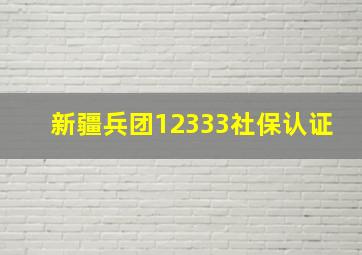 新疆兵团12333社保认证