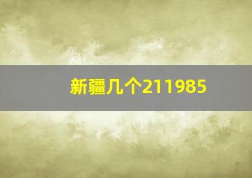 新疆几个211985