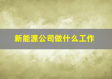 新能源公司做什么工作