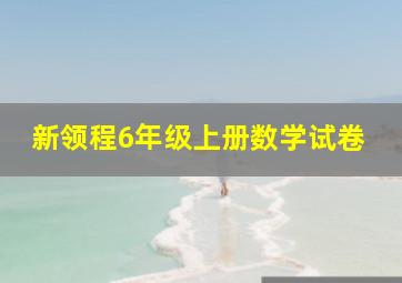 新领程6年级上册数学试卷