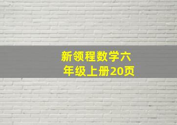 新领程数学六年级上册20页