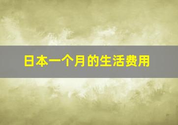 日本一个月的生活费用