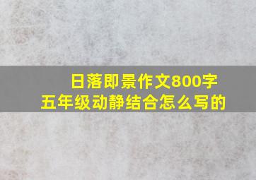 日落即景作文800字五年级动静结合怎么写的