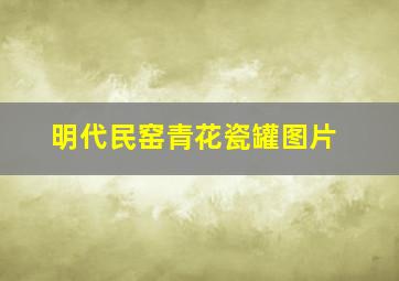 明代民窑青花瓷罐图片