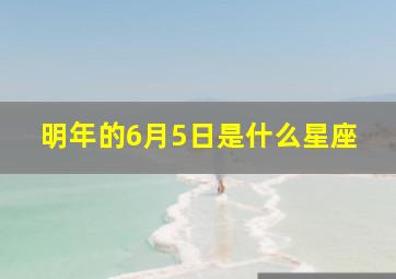 明年的6月5日是什么星座