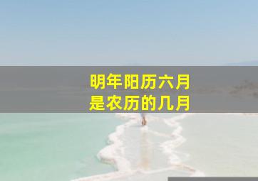 明年阳历六月是农历的几月