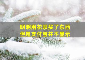 明明用花呗买了东西但是支付宝并不显示