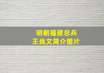 明朝福建总兵王尚文简介图片