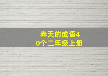 春天的成语40个二年级上册