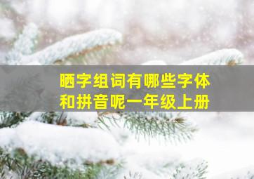 晒字组词有哪些字体和拼音呢一年级上册