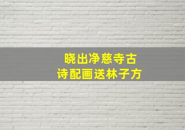 晓出净慈寺古诗配画送林子方