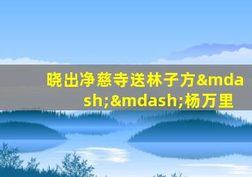 晓出净慈寺送林子方——杨万里