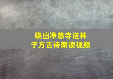 晓出净慈寺送林子方古诗朗读视频