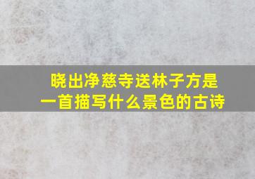 晓出净慈寺送林子方是一首描写什么景色的古诗