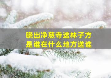 晓出净慈寺送林子方是谁在什么地方送谁