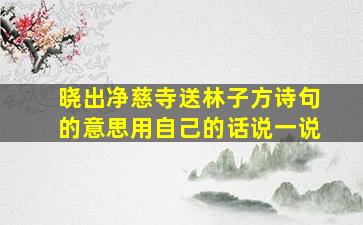 晓出净慈寺送林子方诗句的意思用自己的话说一说