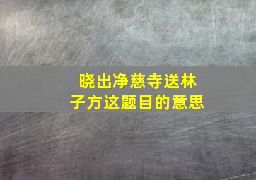 晓出净慈寺送林子方这题目的意思