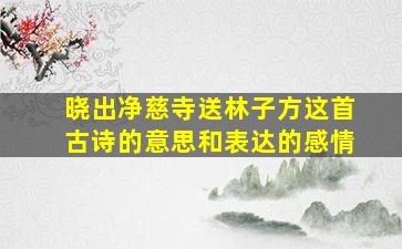 晓出净慈寺送林子方这首古诗的意思和表达的感情