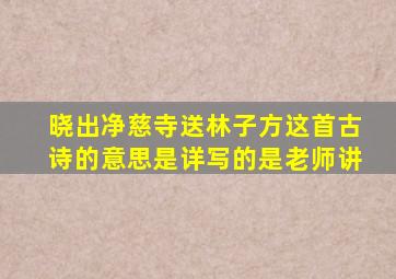 晓出净慈寺送林子方这首古诗的意思是详写的是老师讲