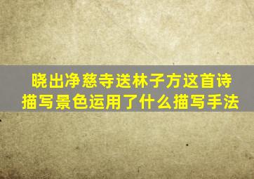 晓出净慈寺送林子方这首诗描写景色运用了什么描写手法