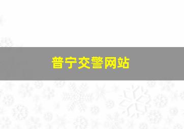 普宁交警网站