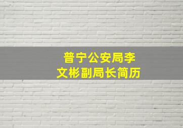 普宁公安局李文彬副局长简历