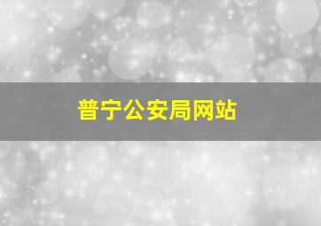 普宁公安局网站