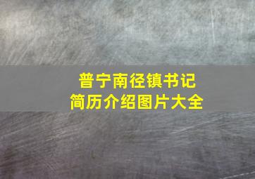 普宁南径镇书记简历介绍图片大全