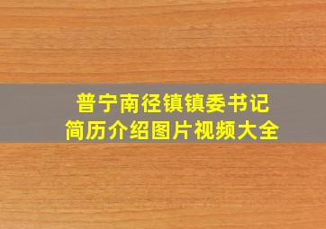 普宁南径镇镇委书记简历介绍图片视频大全