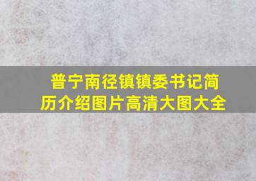 普宁南径镇镇委书记简历介绍图片高清大图大全