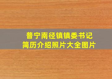 普宁南径镇镇委书记简历介绍照片大全图片