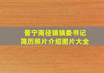 普宁南径镇镇委书记简历照片介绍图片大全