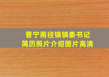 普宁南径镇镇委书记简历照片介绍图片高清