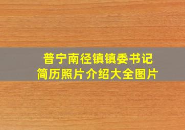 普宁南径镇镇委书记简历照片介绍大全图片