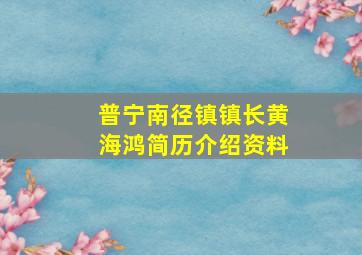 普宁南径镇镇长黄海鸿简历介绍资料