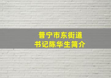 普宁市东街道书记陈华生简介