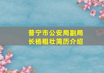 普宁市公安局副局长杨粗壮简历介绍