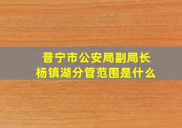 普宁市公安局副局长杨镇湖分管范围是什么