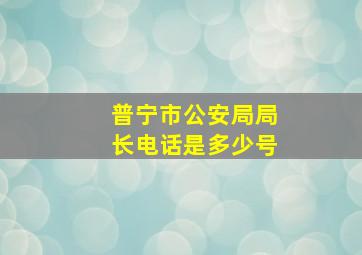 普宁市公安局局长电话是多少号