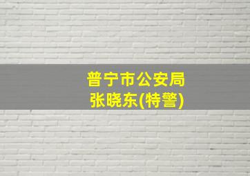 普宁市公安局张晓东(特警)