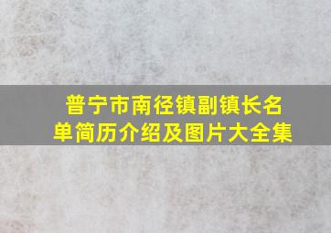 普宁市南径镇副镇长名单简历介绍及图片大全集