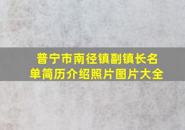 普宁市南径镇副镇长名单简历介绍照片图片大全