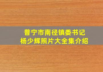 普宁市南径镇委书记杨少辉照片大全集介绍