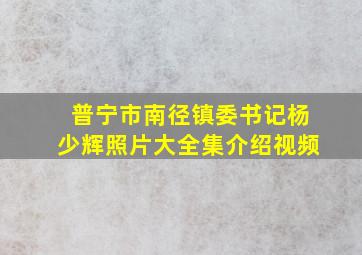 普宁市南径镇委书记杨少辉照片大全集介绍视频