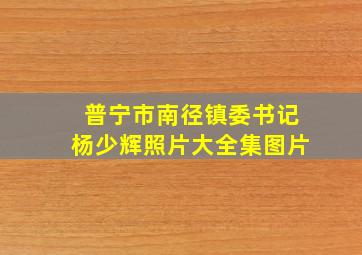 普宁市南径镇委书记杨少辉照片大全集图片