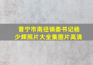 普宁市南径镇委书记杨少辉照片大全集图片高清