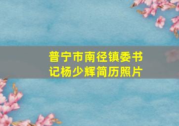 普宁市南径镇委书记杨少辉简历照片